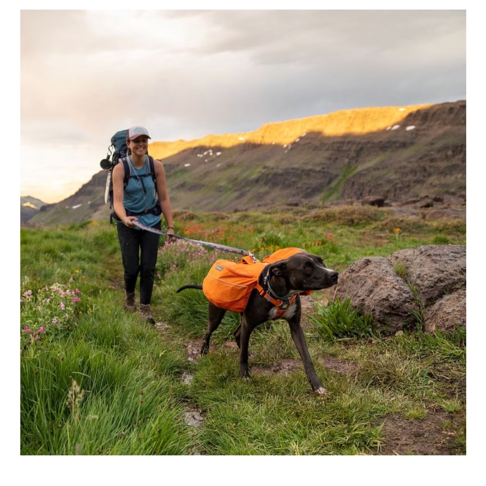 Large Ruffwear Approach Dog Backpack - Picture 2 of 7